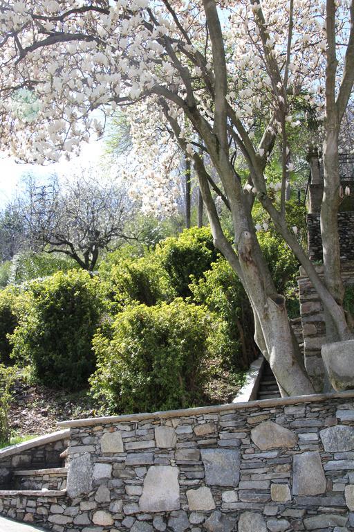 La Ciliegia Bianca Bed and Breakfast Belgirate Exterior foto